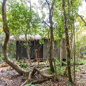 Ojo De Agua. Design+pool. Vive La Autentica Selva! Сasa de vacaciones
